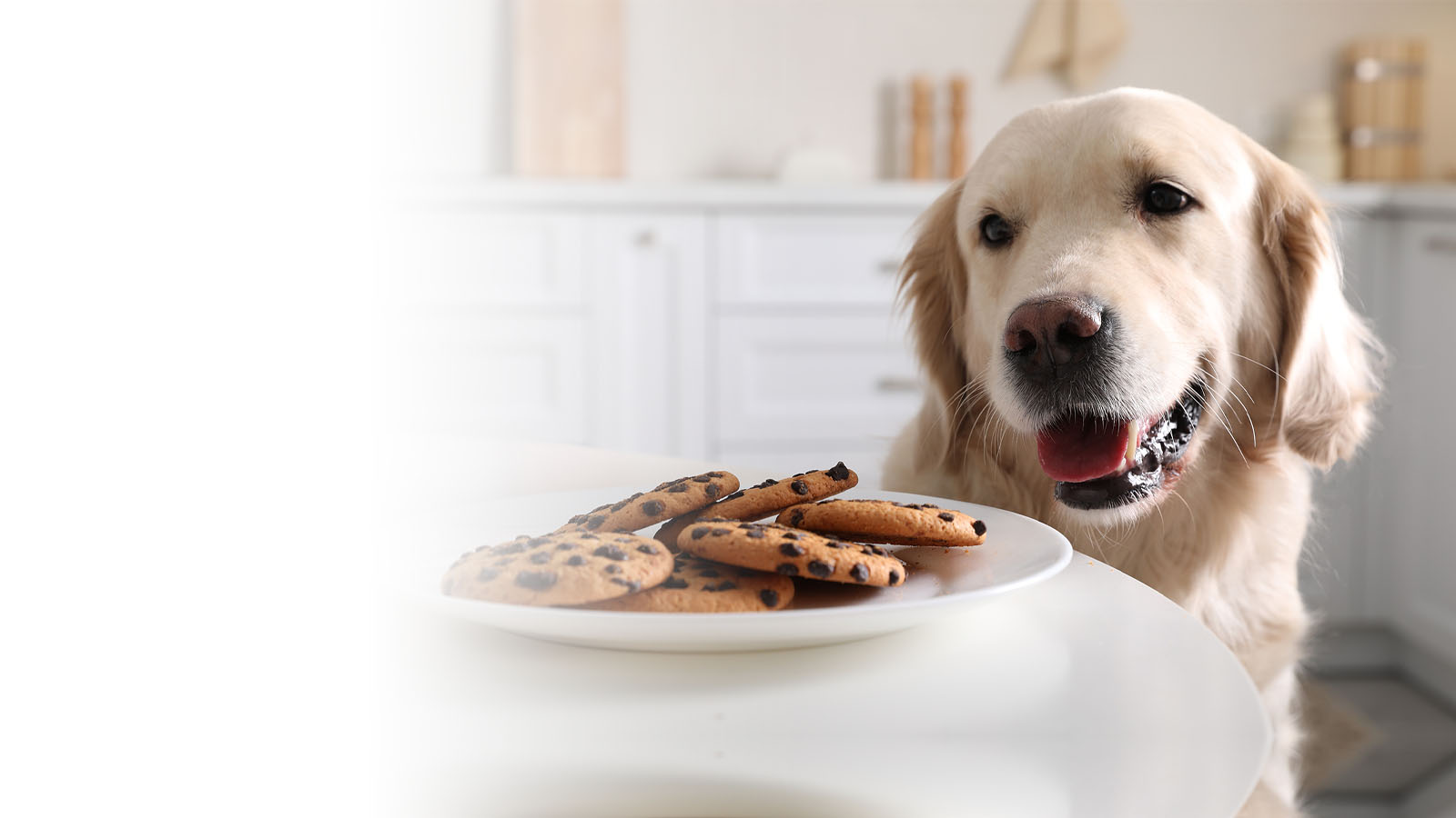 Relax! Refinance with MEP | Listing Motivator Program